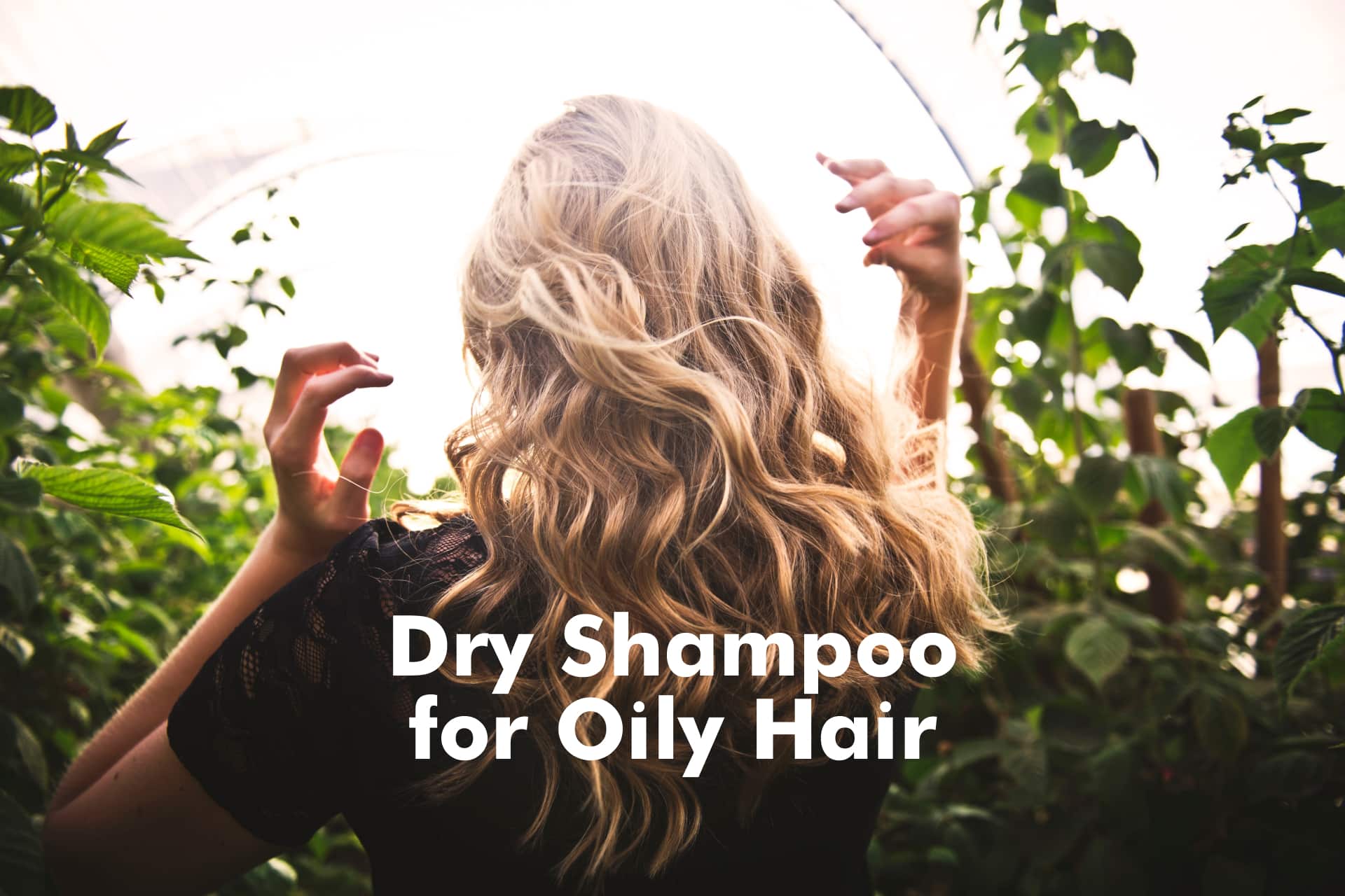 10 Best Dry Shampoos for Oily Hair in 2022 How To Hair Girl